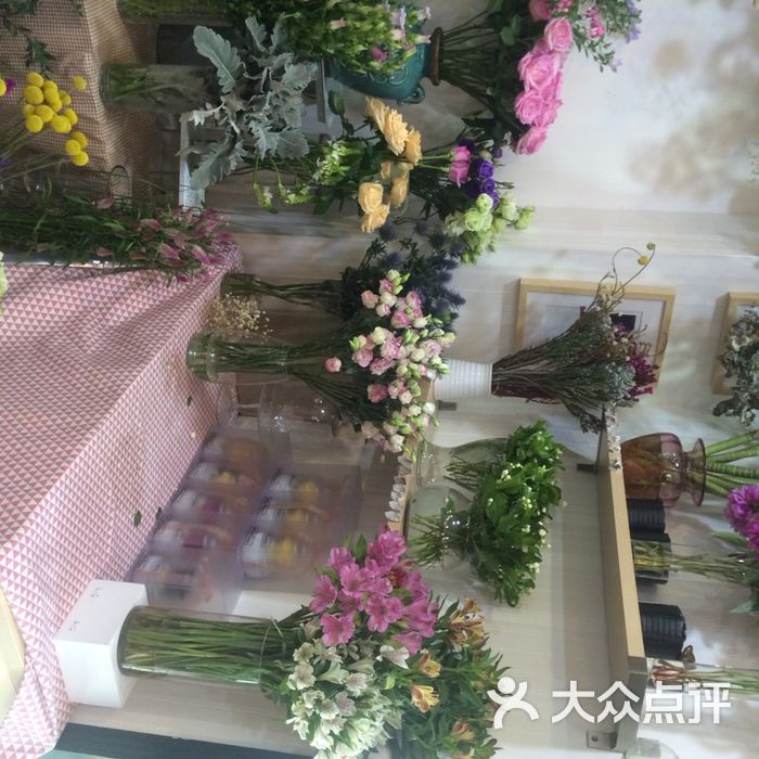 sarah211           菜梆梆           焚雪123