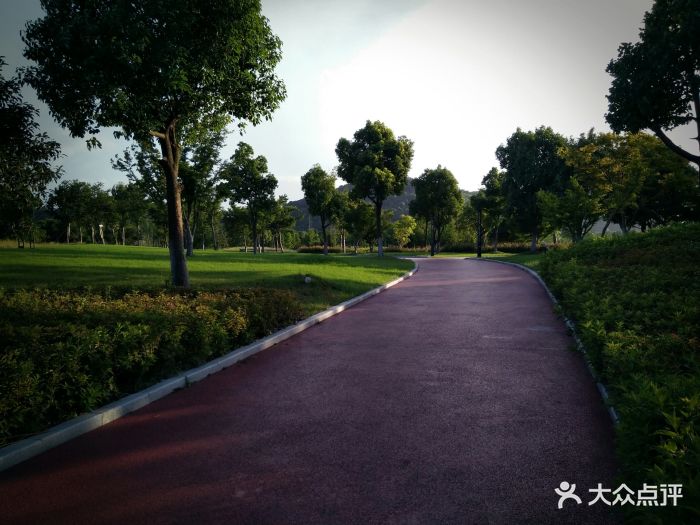 西山漾湿地公园图片 - 第7张