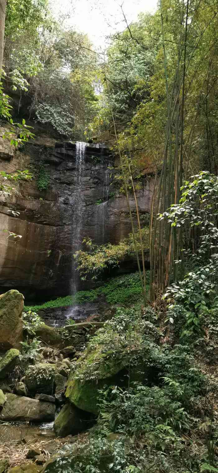 永川桃花源-"永川桃花源景区位于黄瓜山白岩槽卫星湖源头.