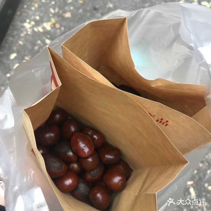 老马家黄新刚糖炒板栗图片 - 第671张