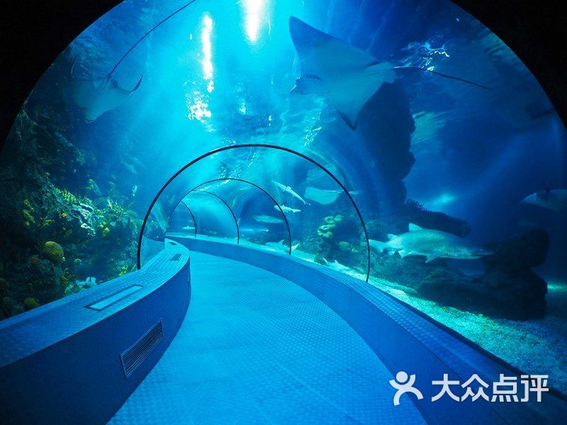 上海海洋水族馆