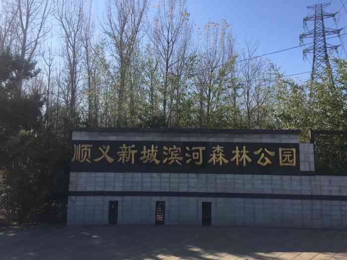 顺义新城滨河森林公园停车场