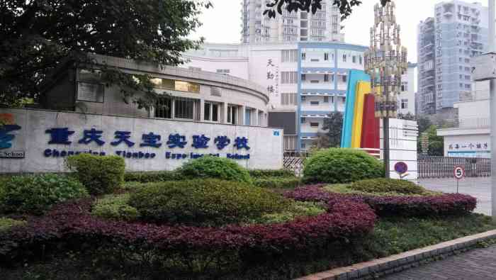 重庆天宝实验学校-"第一次来这个小学,天宝实验学校,听说还有.