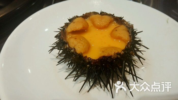 黑海胆