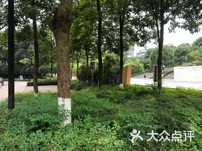 重庆理工大学-体育馆图片 - 第4张