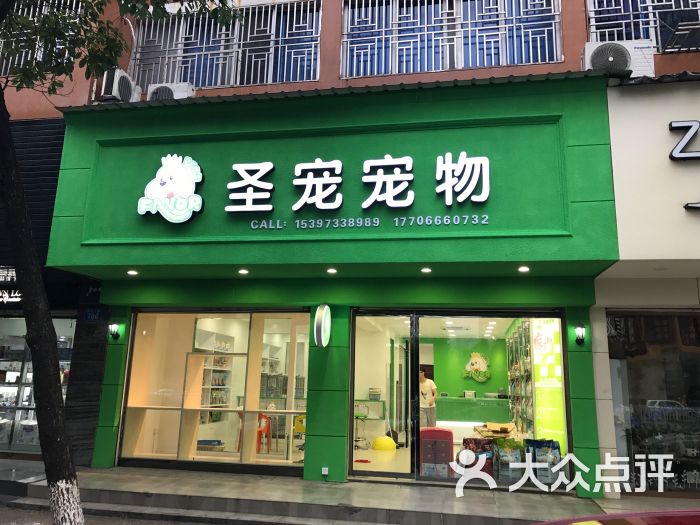 圣宠宠物(罗阳大道店)图片 第6张