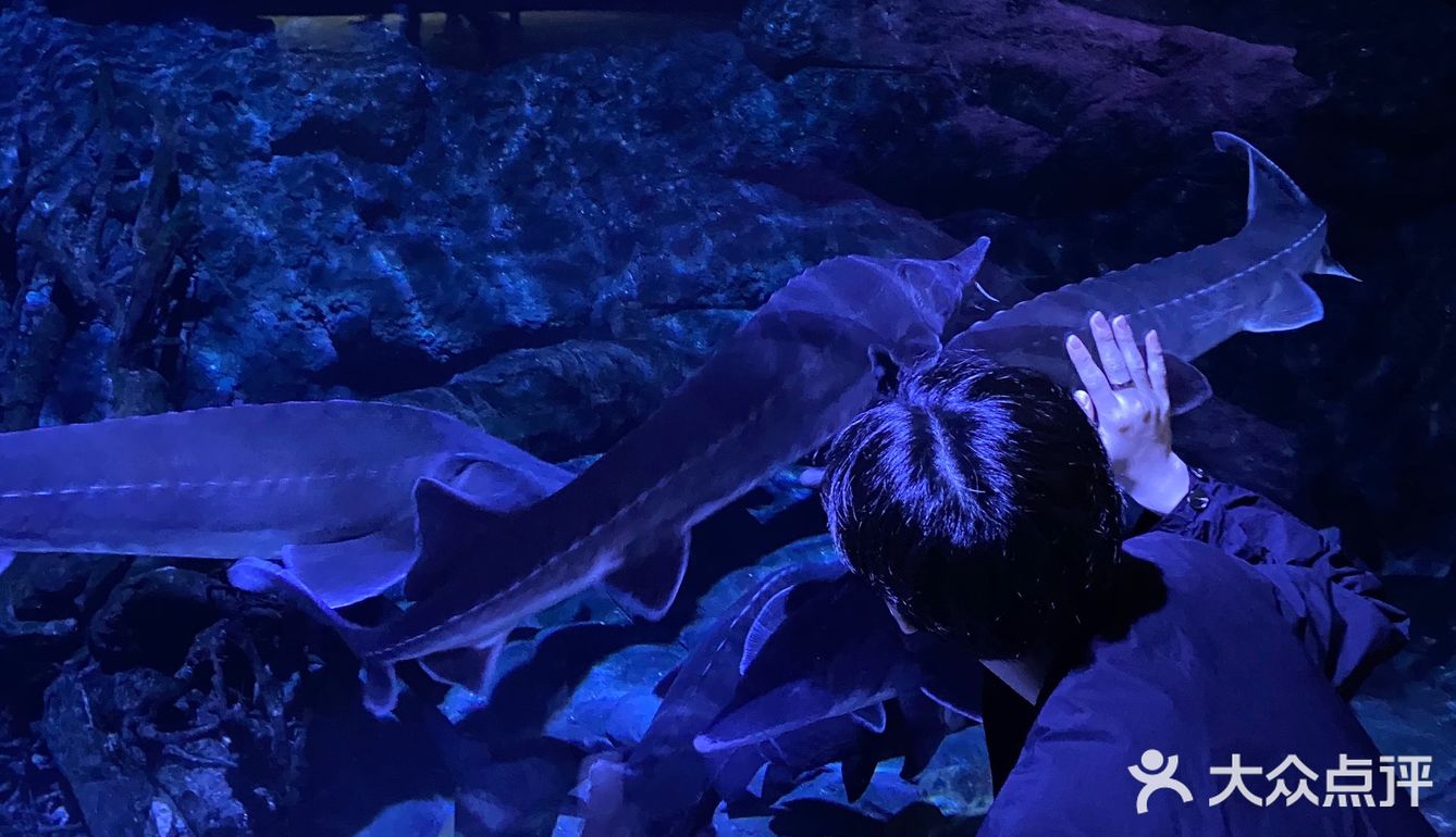 温州海洋馆