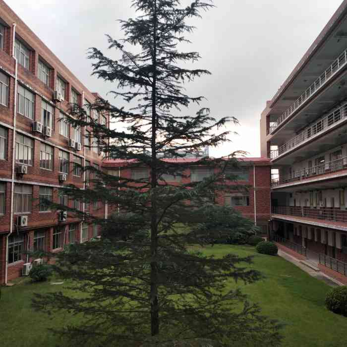 上海杉达学院(金海校区)-"本来是对学校没什么偏见的