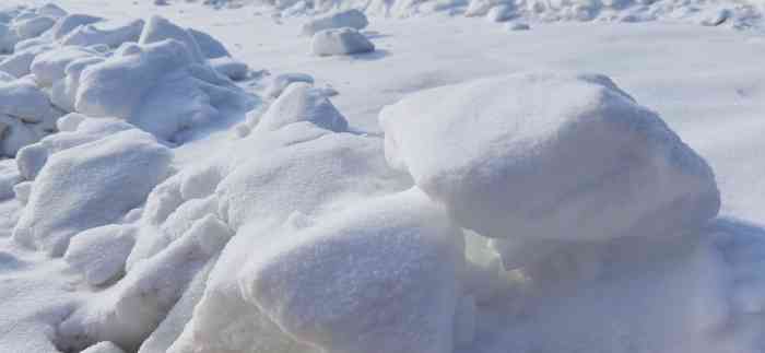 城市绿心森林公园冰雪嘉年华