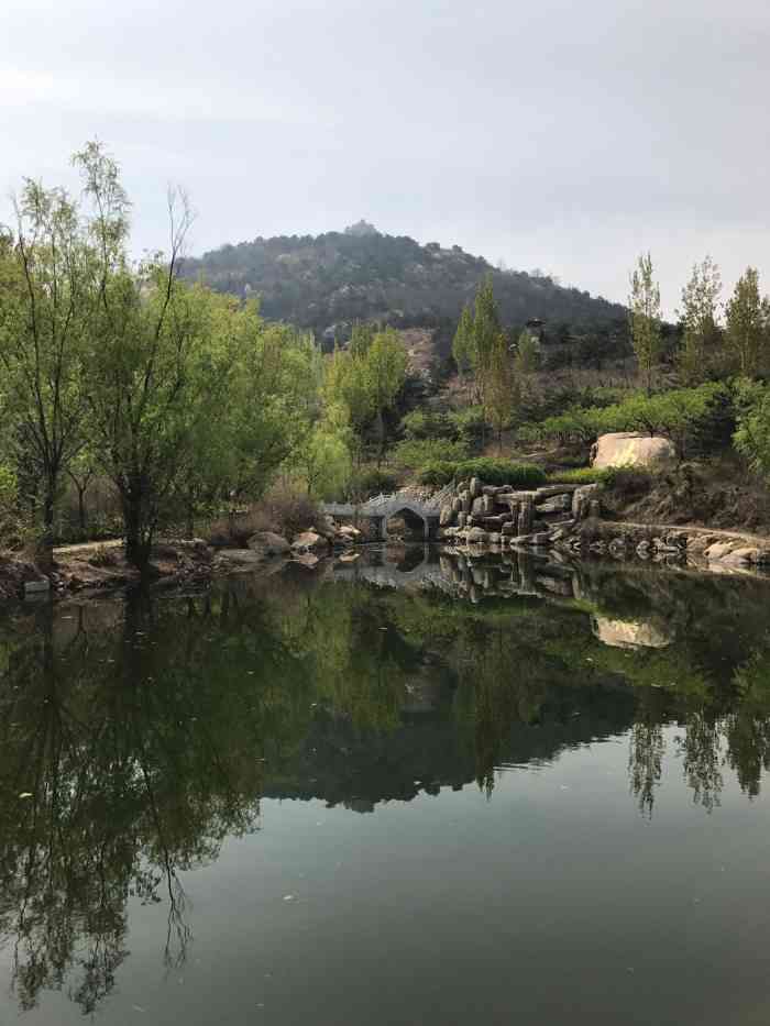 莱芜莲花山风景区-"莲花山风景秀丽,山顶大佛非常壮观