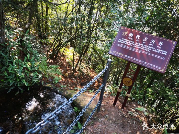 浏阳石牛寨风景区图片 - 第15张