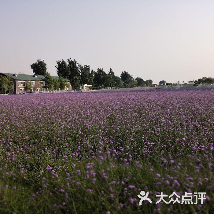 首农·紫谷伊甸园