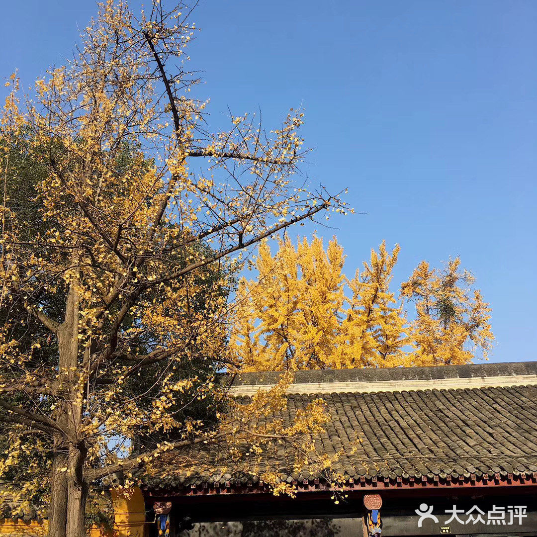 成都必去景点!文殊院. 古代建筑的展示,像清朝后花园