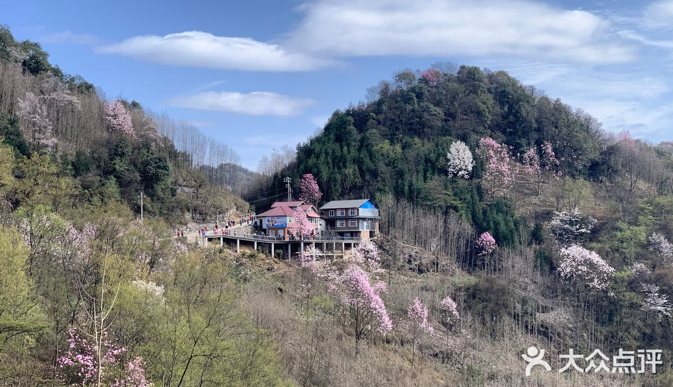 住江油,又便宜又舒适.住吴家后山,就是农家的房子