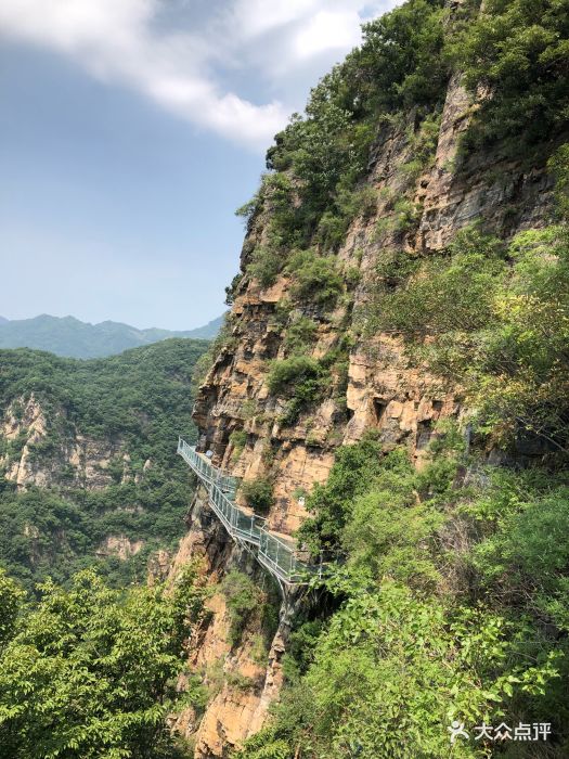 天子山风景区图片 - 第33张