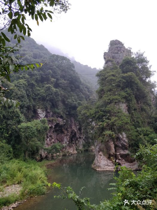 车八岭自然保护区-图片-始兴县周边游-大众点评网