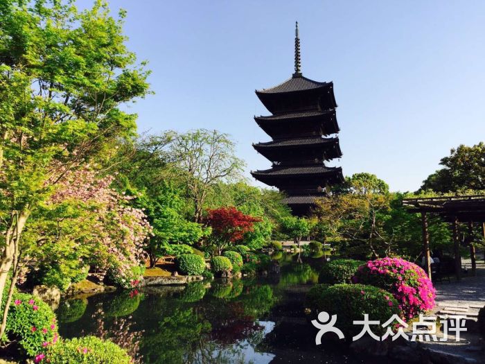 京都 教王护国寺(东寺)图片 - 第1张