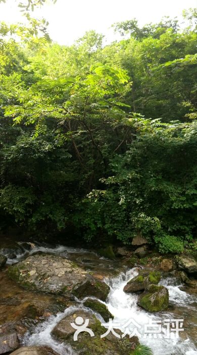 本溪汤沟绿石谷森林公园景点图片 - 第1张