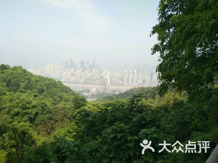 南山丽景度假酒店图片 - 第41张