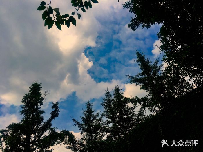 地铁九号线深圳弯公园站下车,靠近欢乐海岸.