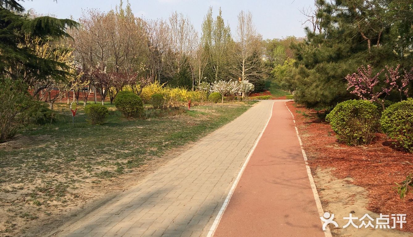 西会公园是沿通惠河岸的城市绿化带北岸叫西会公园