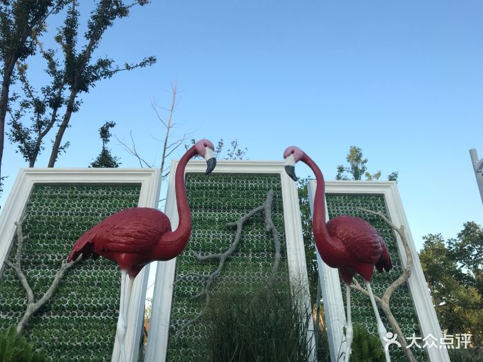 很适合拍照的地方,基本上网红的几个点都拍.