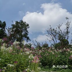 天坪山云林天乡景区