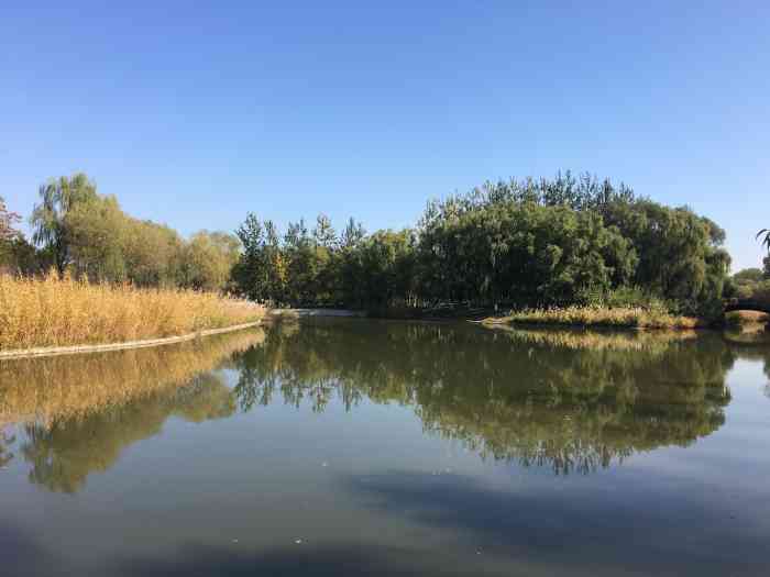 翠湖湿地公园