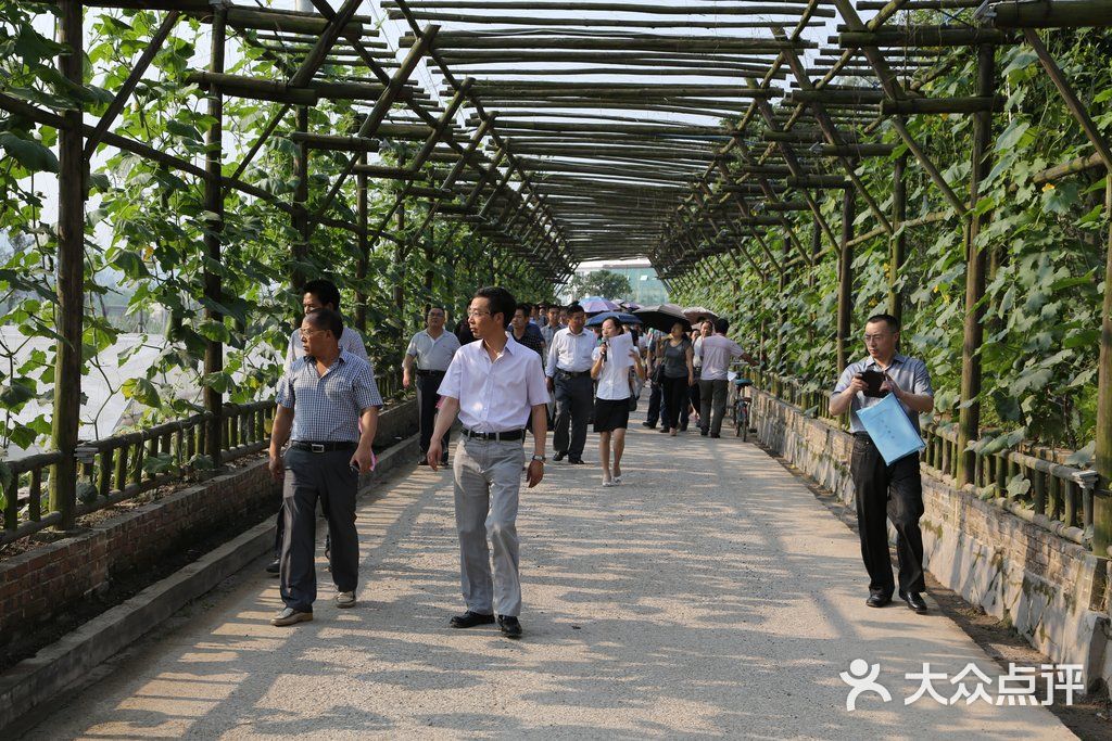 重庆农博园奇异瓜果长廊图片 - 第3张