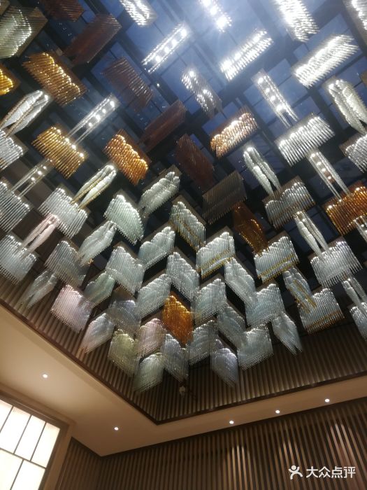 今天来搭机场快线,航班延误,先在酒店大堂.-广