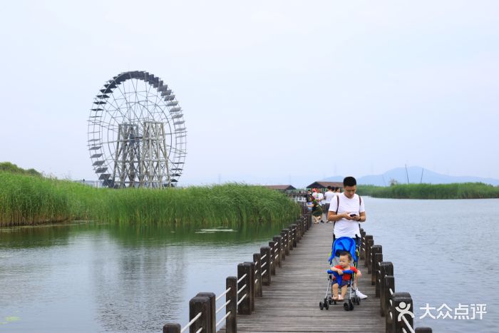 苏州太湖湖滨国家湿地公园图片 - 第104张