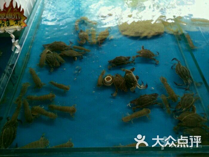 光明渔港(海悦天地店)图片 - 第100张
