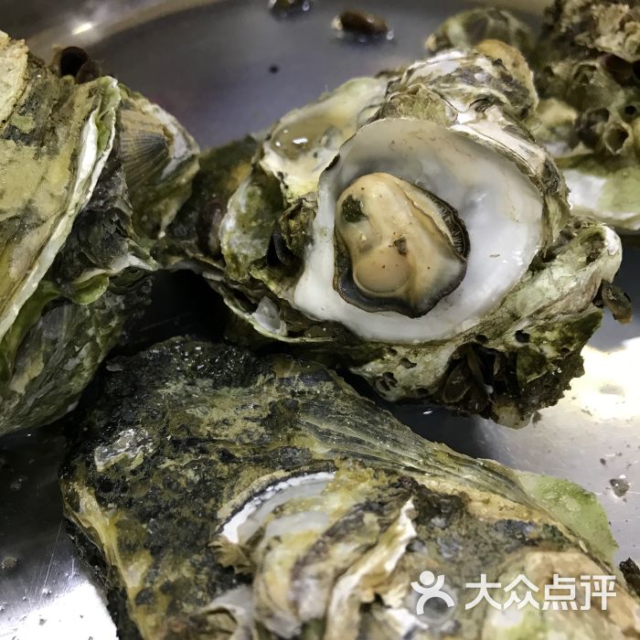 原只蒸生蚝