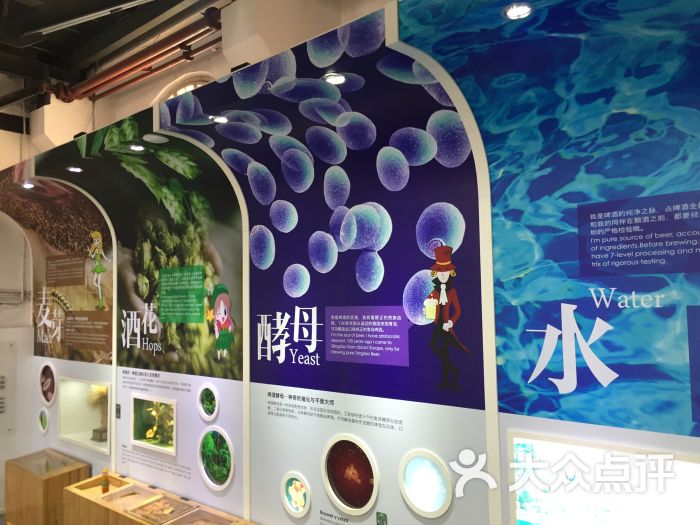 青岛啤酒博物馆-图片-青岛周边游