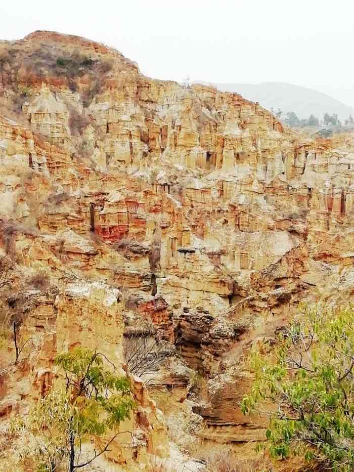 物茂土林风景区-"走进元谋物茂土林风景区一起欣赏大.