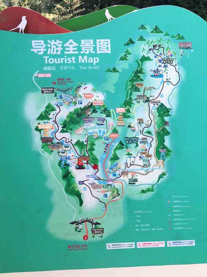 一个真正的大自然森林公园!
