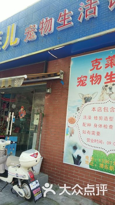 克莱儿宠物店门头图片 第4张