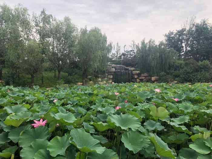 北戴河自然生态公园