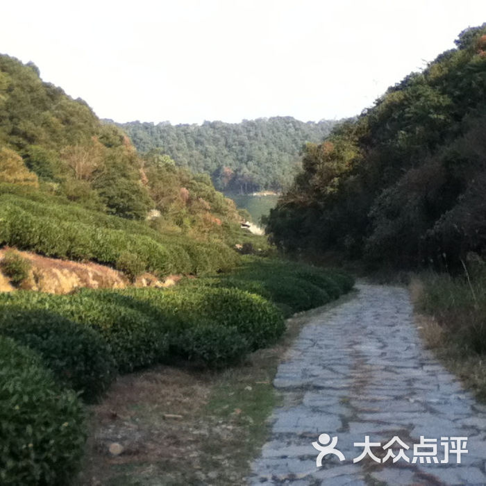 大清谷 大众点评