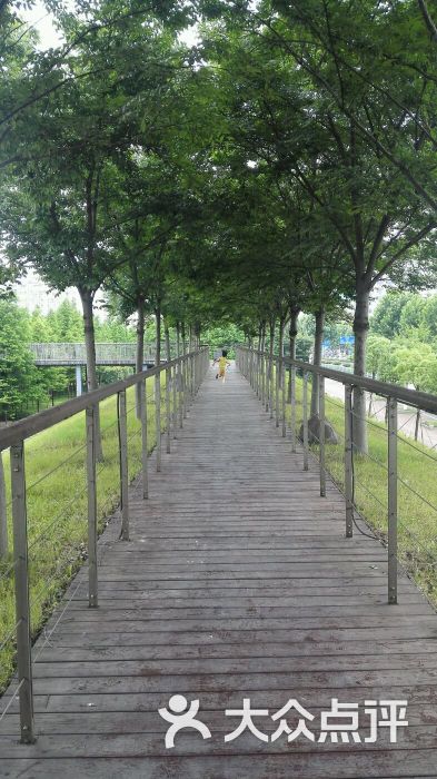 河滨公园南自行车租赁点-图片-德清县购物-大众点评网