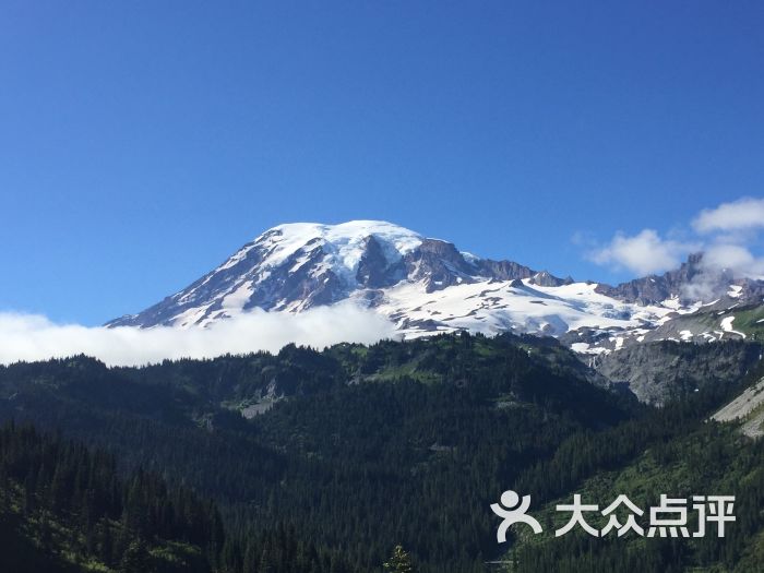 雷尼尔雪山国家公园图片 第9张