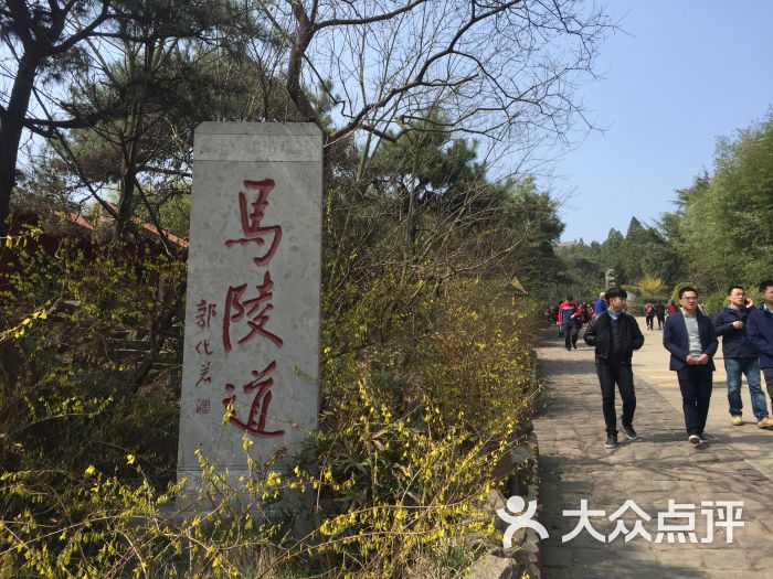 马陵山风景名胜区图片 - 第38张