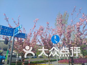 【上海梅赛德斯-奔驰文化中心停车场】