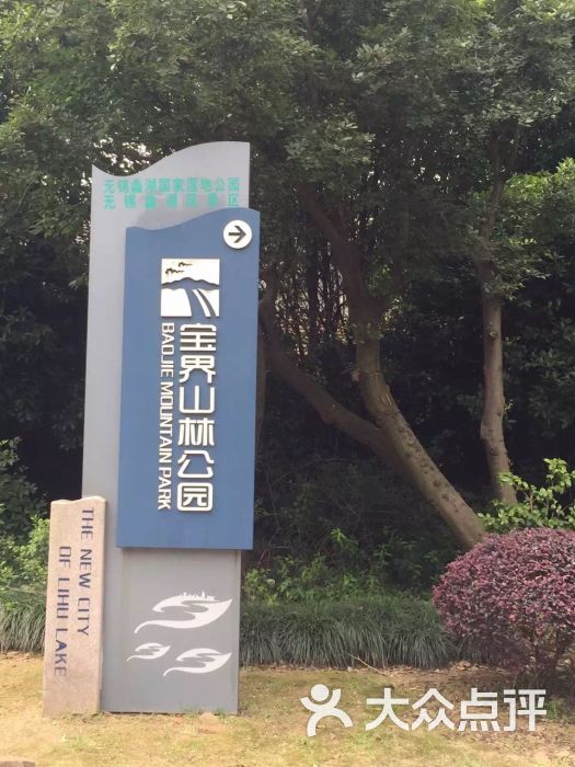 宝界山林公园图片 第491张