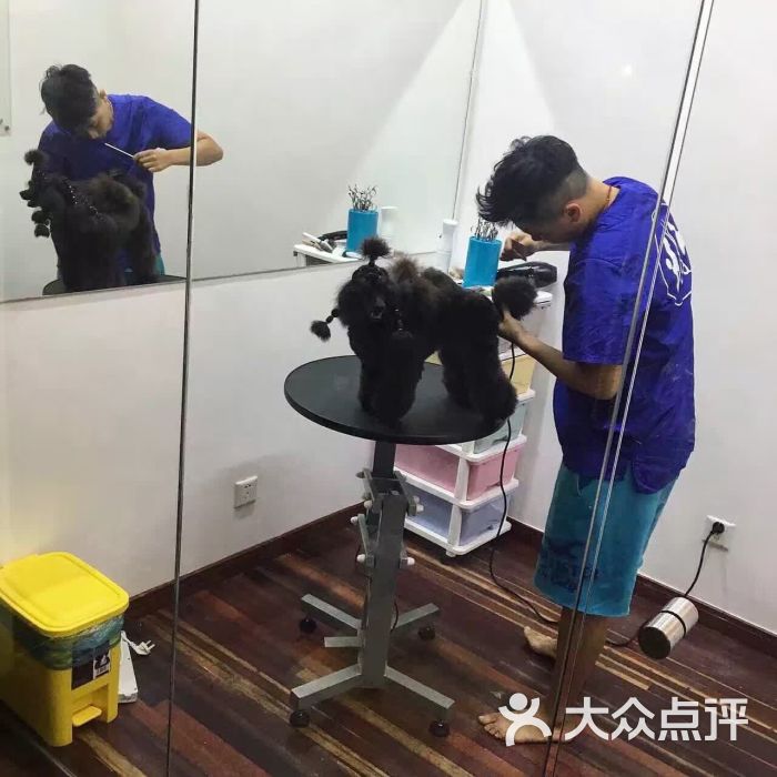 隐yin工作室-美容室图片-上海宠物
