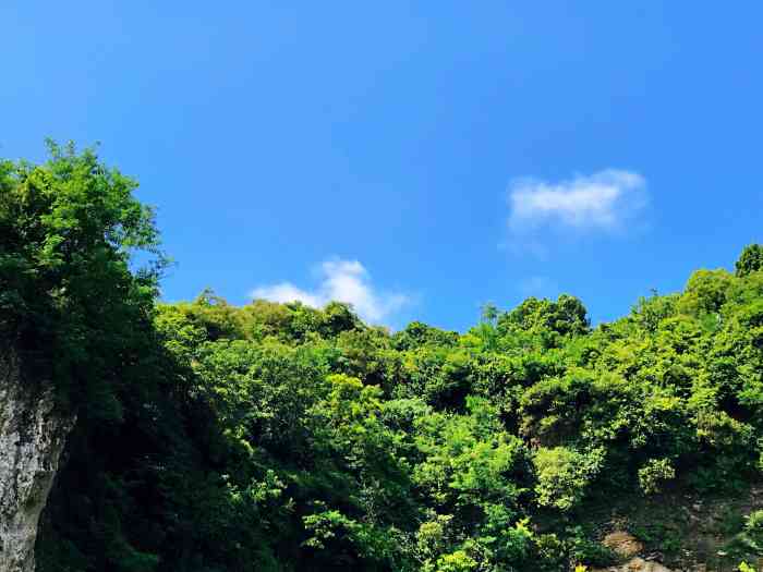 柴山风景区"高雄著名户外踏青好去处,从山下爬到山上以.