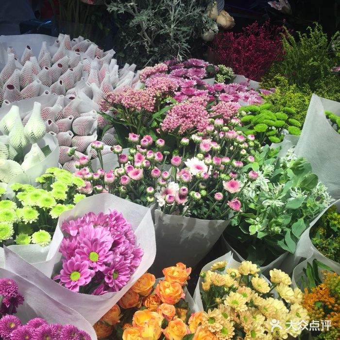 玉泉营花卉市场图片