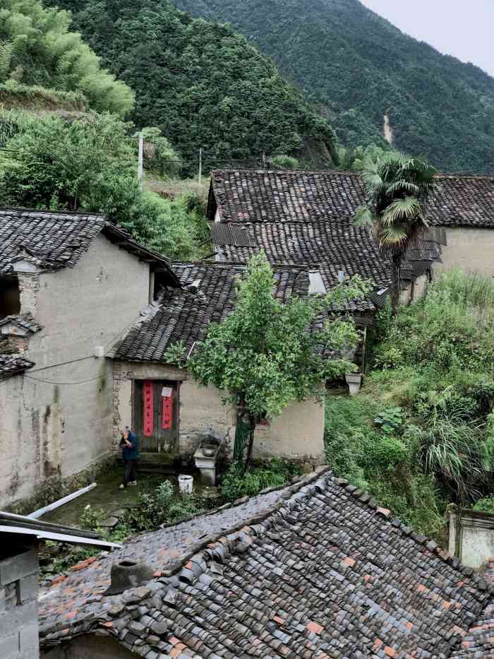 西坑村-"969696地址:松阳四都乡西坑村 ."