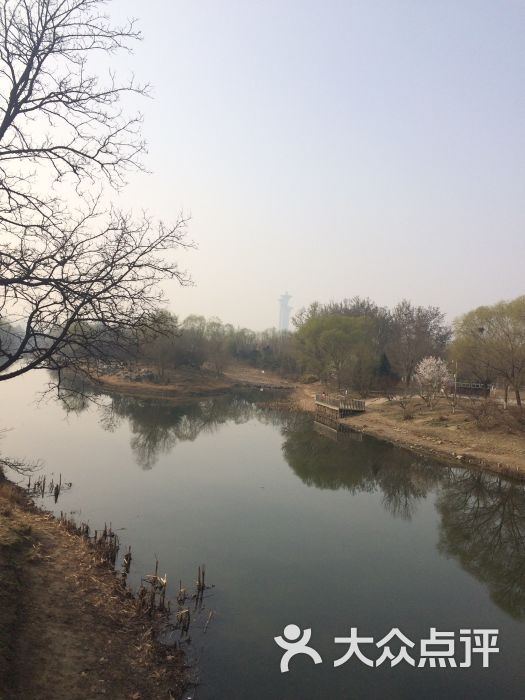 奥林匹克森林公园北园南门停车场-图片-北京爱