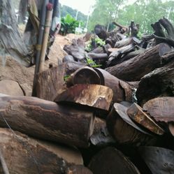 德庆县有多少人口_德庆县香山中学图片